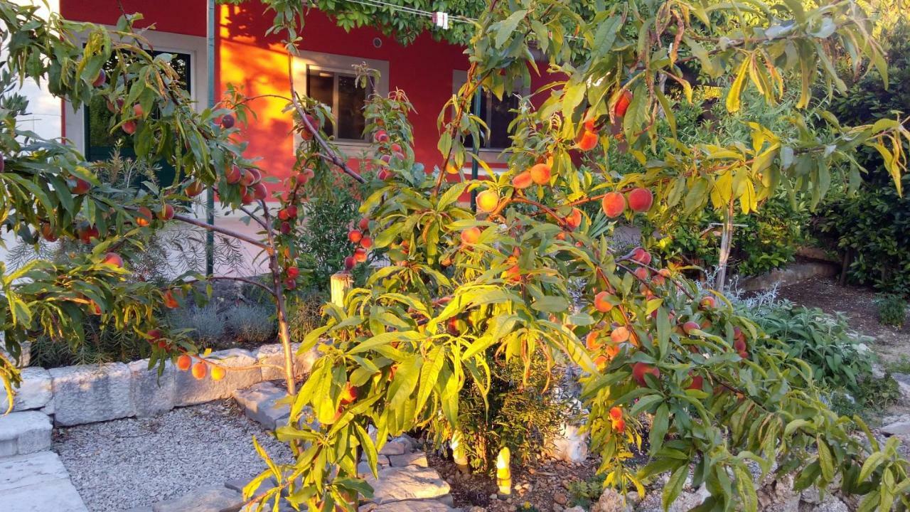 Apartment Vila Volicija Makarska Buitenkant foto